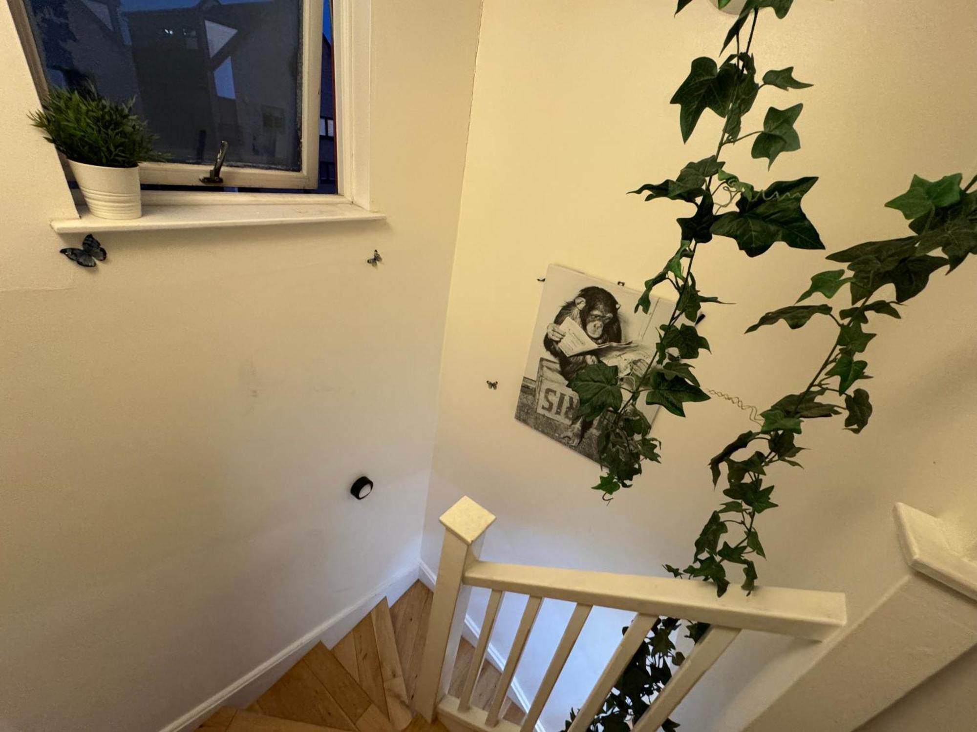 Cozy Rooms Near Central Лондон Экстерьер фото
